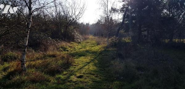 A VENDRE :  - Au c?ur de la Sologne (région de chasse et de pêche) - à  30mn du ZOO DE BEAUVAL ...