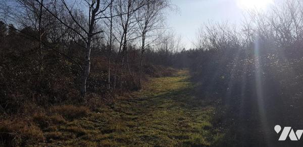 A VENDRE :  - Au c?ur de la Sologne (région de chasse et de pêche) - à  30mn du ZOO DE BEAUVAL ...