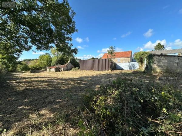 Achat - Terrain de loisirs, bois, étangs Saint-Christophe-du-Foc 50340 997 m 2