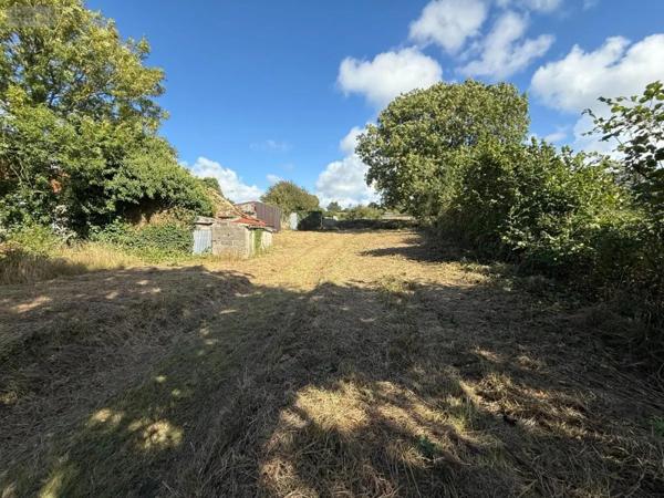 Achat - Terrain de loisirs, bois, étangs Saint-Christophe-du-Foc 50340 997 m 2
