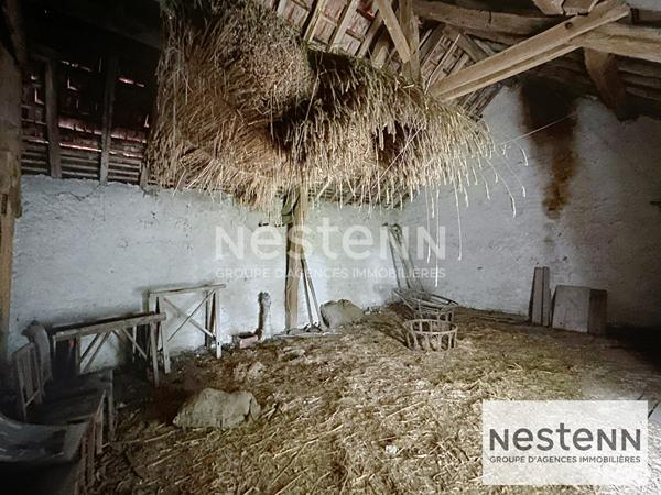 Maison spacieuse à vendre à Blois - Idéale pour investisseurs