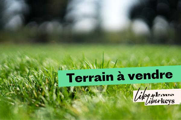 Terrain de Bois