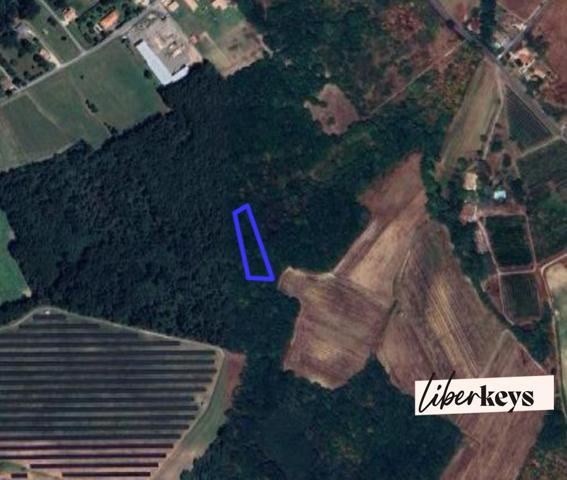 Terrain de Bois