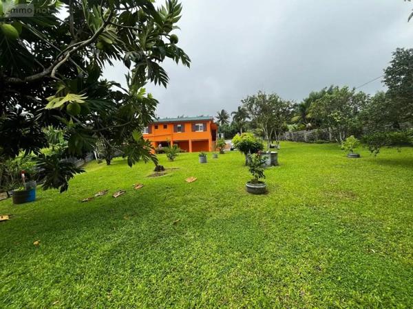 Achat - Maison Basse-Pointe 97218 120 m 2 1754 m 2