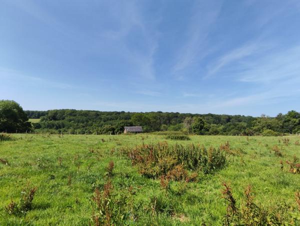 Agréable maison dans écrin de verdure, au calme, avec jolie vue
