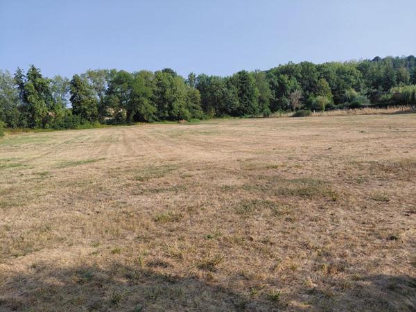 Terrain  9803 m2