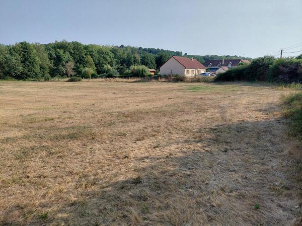 Terrain  9803 m2