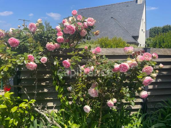 Maison à vendre 6 pièces LARMOR BADEN (56)