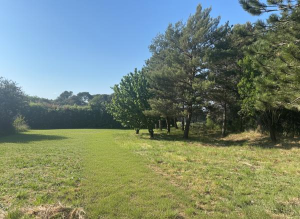 Terrain Vernegues 1281 m2