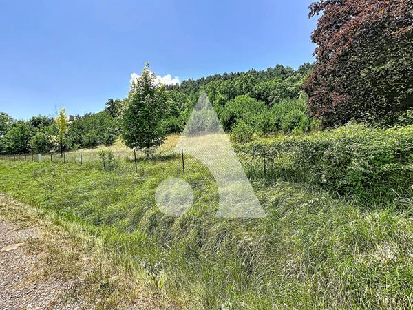 Terrain 1463 m2