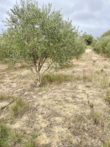 Terrain agricole 4416m²