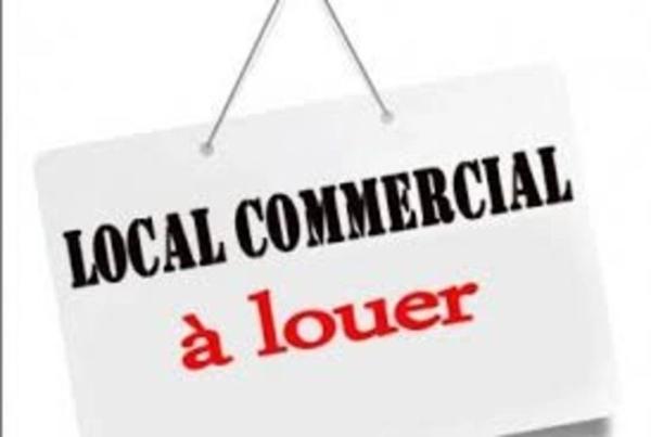 Local professionnel renové/bureau à louer 73m2 à CHALONS EN CHAMPAGNE centre ville à Pied