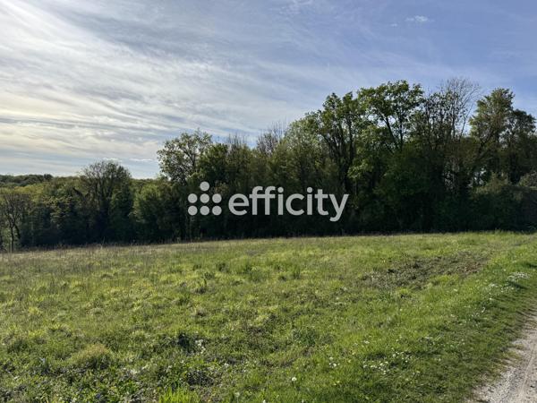 Terrain
        
        - 2209 m² 82 000 € *