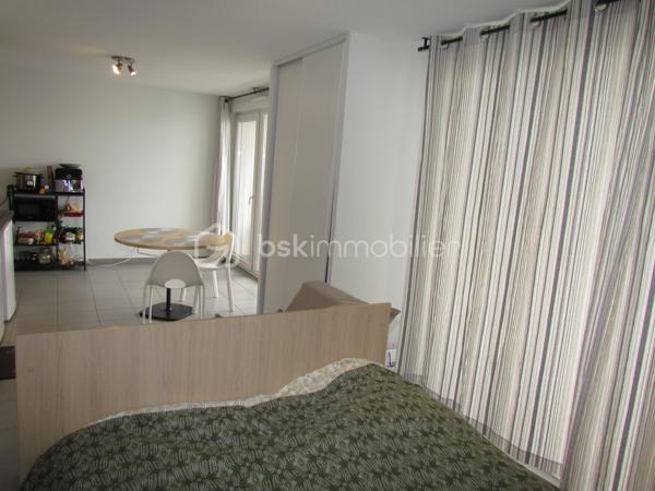 Studette de 32,81 m²