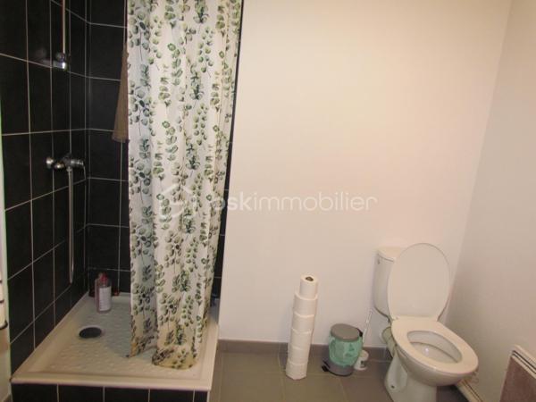 Studette de 32,81 m²