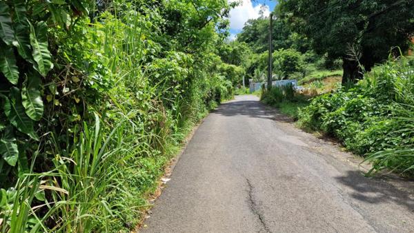 Terrain constructible plat dans un secteur calme Les Abymes 97139 Guadeloupe