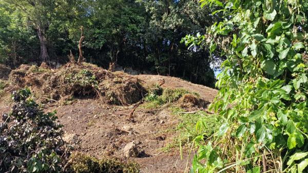 Terrain constructible plat dans un secteur calme Les Abymes 97139 Guadeloupe