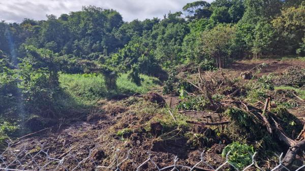 Terrain constructible plat dans un secteur calme Les Abymes 97139 Guadeloupe