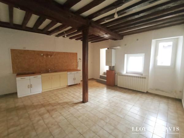 BEL APPARTEMENT RDC 48M2 , 1 CHAMBRE  EN CENTRE VILLE DE SENS !