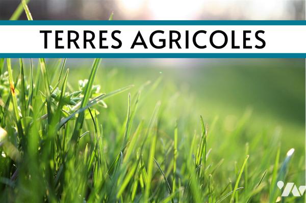 Terres agricoles de 2,93 hectares