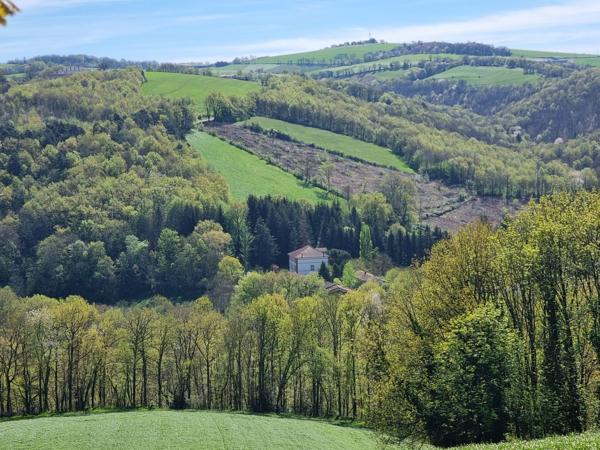 Vente Maison de luxe Albi 11 Pièces 552 m²