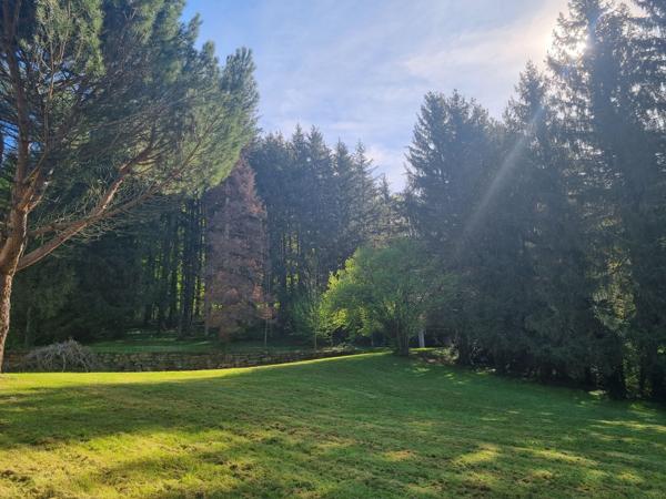 Vente Maison de luxe Albi 11 Pièces 552 m²