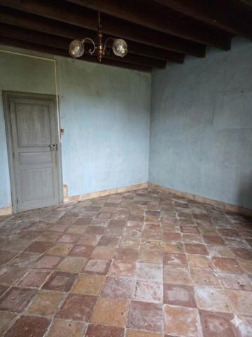 A Tonneins, maison de 110 m² environ ancienne avec fort potentiel, travaux à prévoir. Combles aménageables avec grande hauteur sous plafond. garage, chai, terrain de 14 989 m²