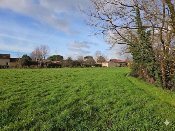 A Tonneins, maison de 110 m² environ ancienne avec fort potentiel, travaux à prévoir. Combles aménageables avec grande hauteur sous plafond. garage, chai, terrain de 14 989 m²