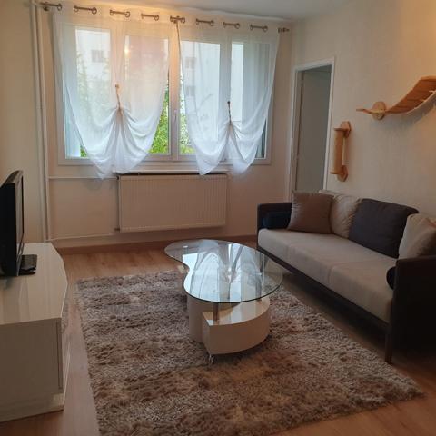 Appartement Saint Jean De La Ruelle 3 pièce(s) 52.05 m2