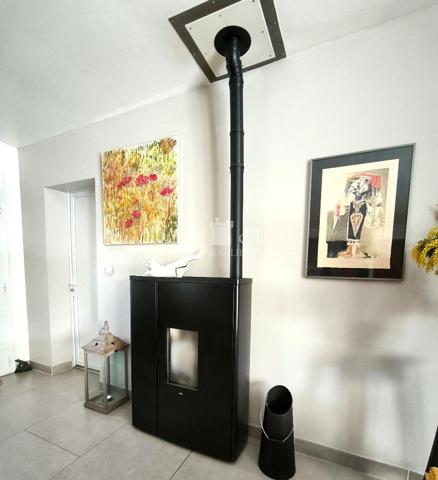 VIAGER villa avec piscine 1 tête