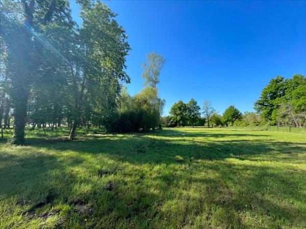 Maison à vendre à Cour-Cheverny dans le Loir-et-Cher (41700), ref : 41002-1051554