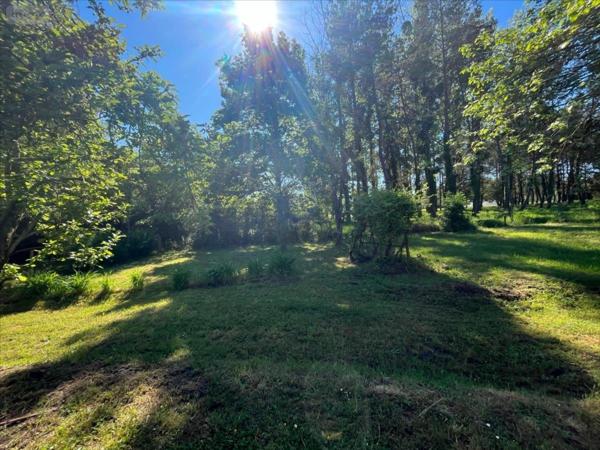 Maison à vendre à Cour-Cheverny dans le Loir-et-Cher (41700), ref : 41002-1051554