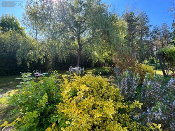 Maison à vendre à Cour-Cheverny dans le Loir-et-Cher (41700), ref : 41002-1051554