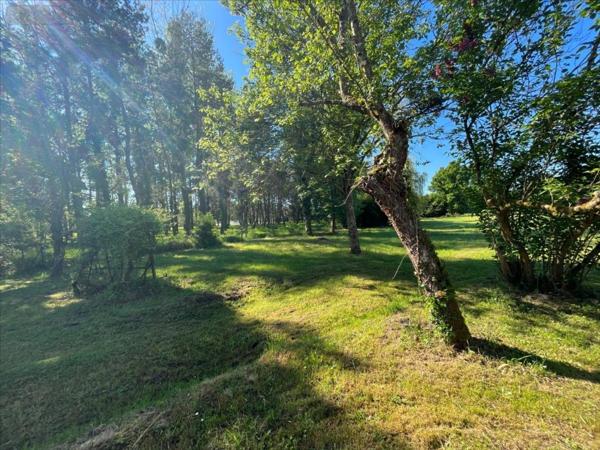 Maison à vendre à Cour-Cheverny dans le Loir-et-Cher (41700), ref : 41002-1051554