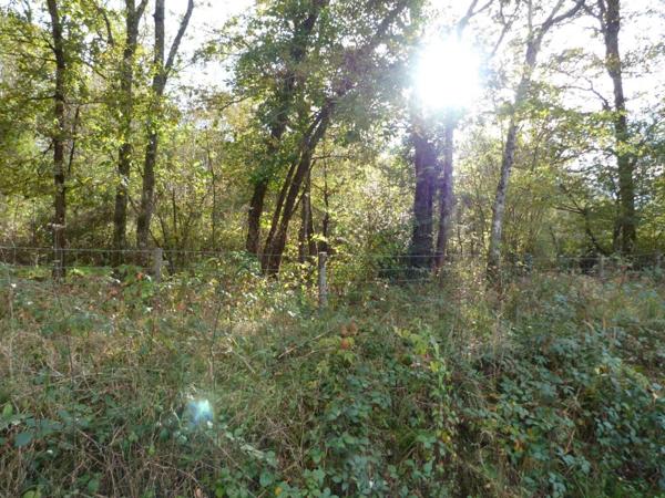 Vente Terrain 23320 m2 à Nançay