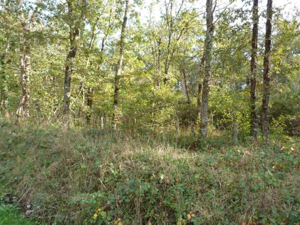 Vente Terrain 23320 m2 à Nançay