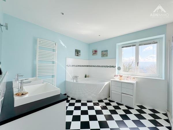 Challex (01630) Maison 10 Pièces 333 m2