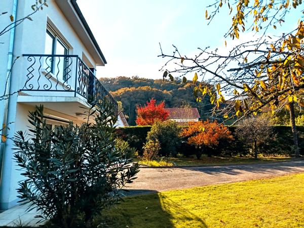 Deux maisons en une avec ponton privé sur l'Adour