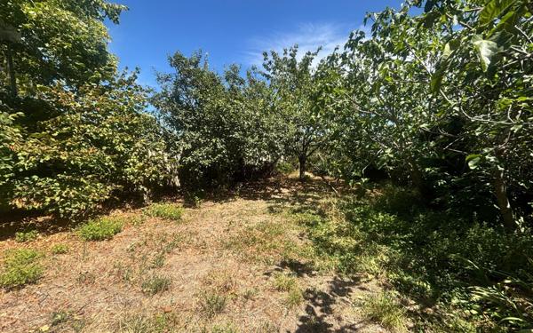 Maison à vendre    4 pièces •  Carcassonne