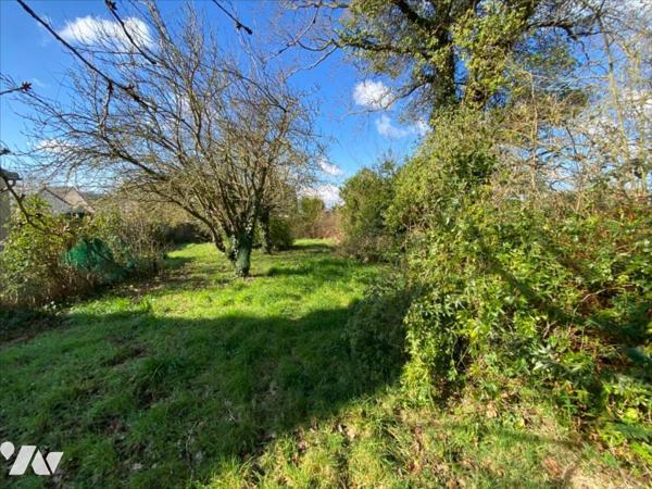 Terrain à bâtir non viabilisé en bout de lotissement