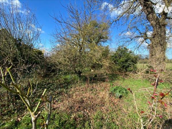 Terrain à bâtir non viabilisé en bout de lotissement