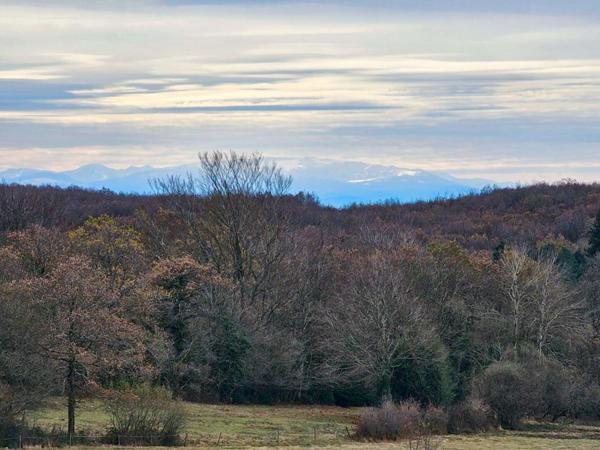 Propriété 5 pièces à vendre à LES MARTYS 20 hectares de nature préservée