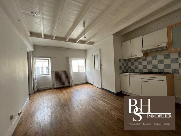 POITIERS CENTRE-VILLE, RUE DE L'ARCEAU, T3 DE 45M²
