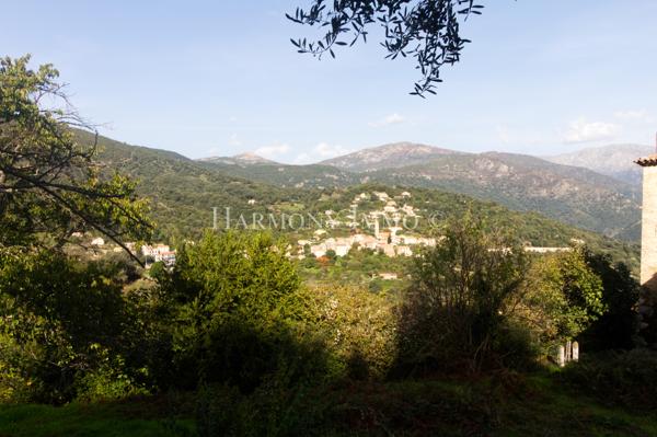 Appartement refait à neuf dans maison de caractère en Corse du Sud