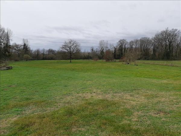 Terrain à vendre |  Buzançais |  2056 m²