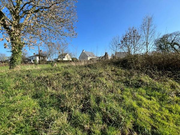 Achat - Terrain à bâtir Saint-James 50240 3012 m 2
