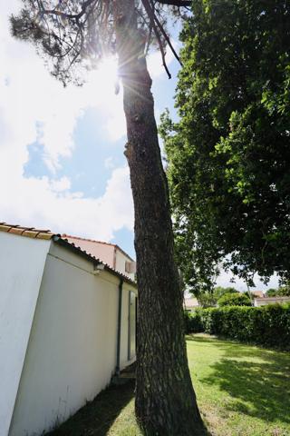 A deux pas de la plage : Maison d'exception bordée de pins