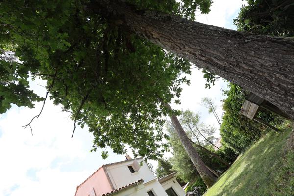 A deux pas de la plage : Maison d'exception bordée de pins