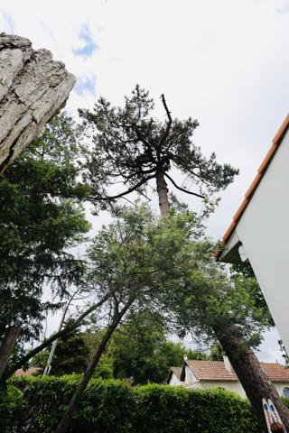 A deux pas de la plage : Maison d'exception bordée de pins