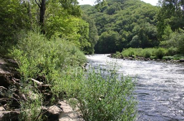 Propriété du XV siècle - Sur les hauteurs du Lot - Chambres d'hôtes